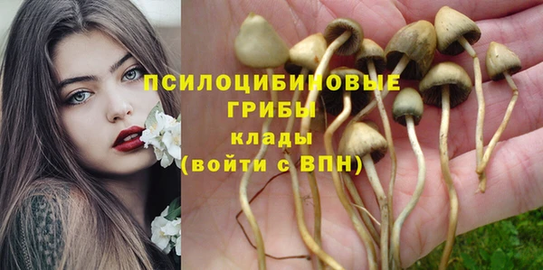 соль курить ск Армянск