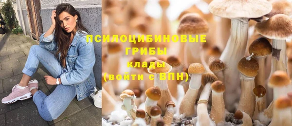 соль курить ск Армянск