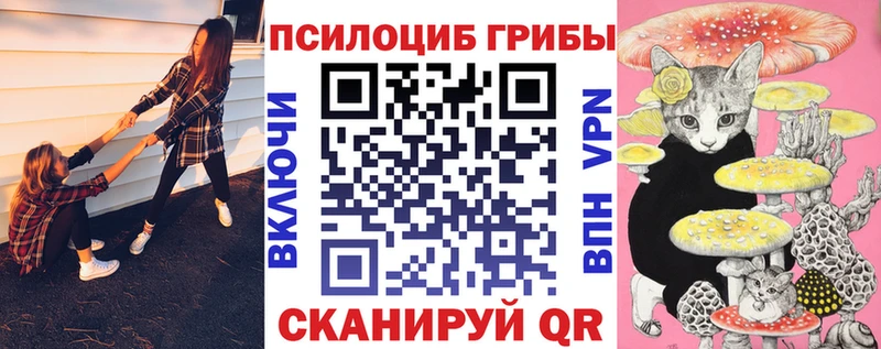 что такое   Ржев  Галлюциногенные грибы GOLDEN TEACHER 