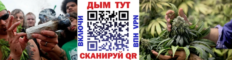 Марихуана сатива  что такое   Ржев 